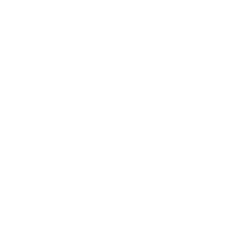 icon-dice